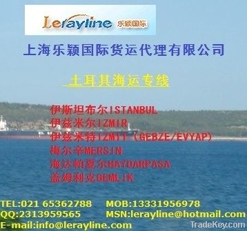 China Turkey Sea Freight