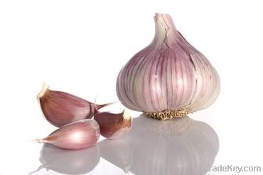 garlic