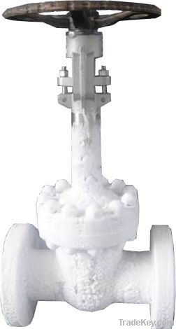 cryogenic valve