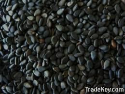 Black Sesame Seeds