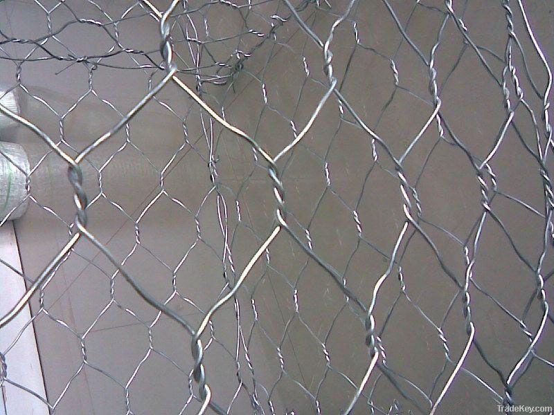 Hexagonal Wire Mesh(Professional Manufacturer)