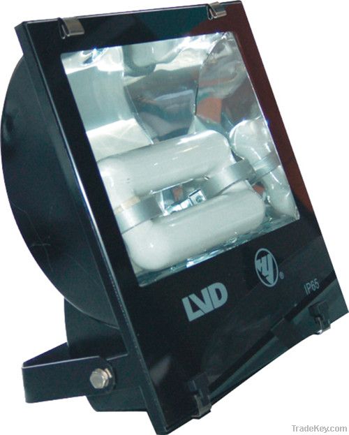 LVD Induction Lamp --- Flood light