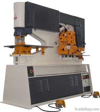 Hydraulic Combined Punching &amp; Shearing Machine (RMI Series)