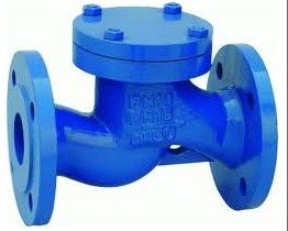 Flange Lift Check Valve