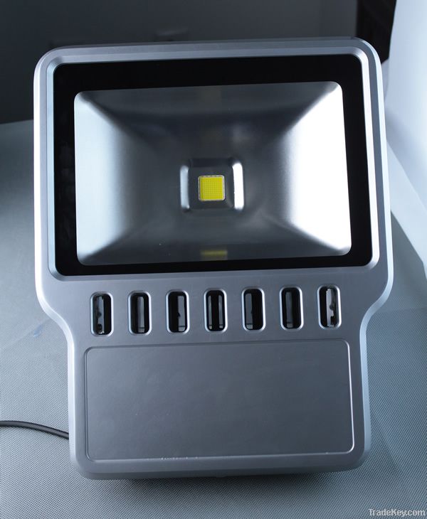 100W LED Floodlight