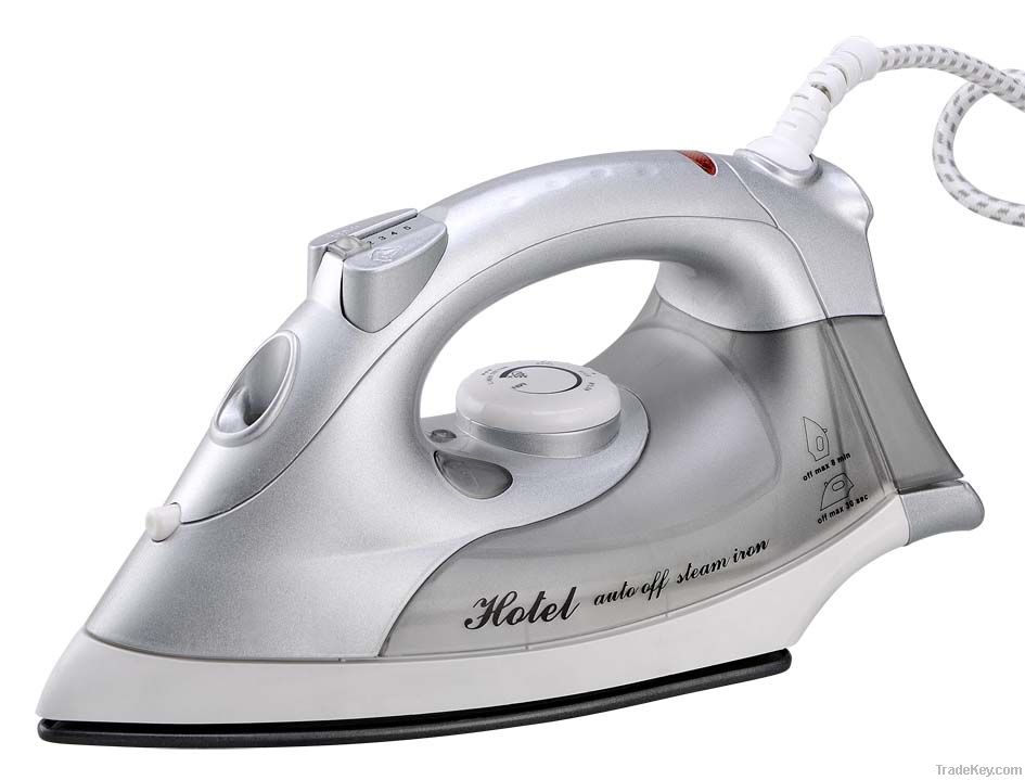 Steam iron