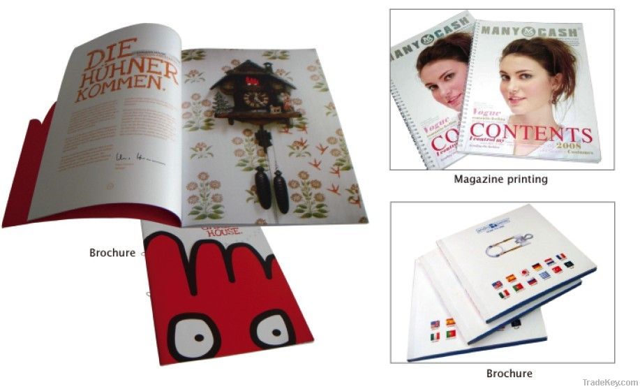 Promotional brochure printing, booklet printer, customize printing