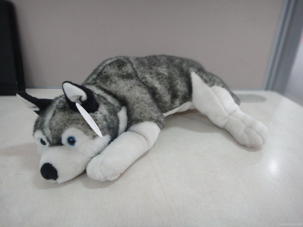 Plush husky