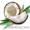 BEST PRICE OF DESICCATED COCONUT HIGH FAT FINE MEDIUM FLAKE GRADE