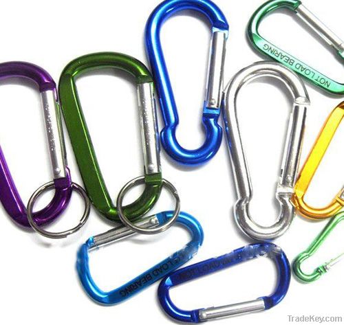 Nice and Fashion Carabiner hook