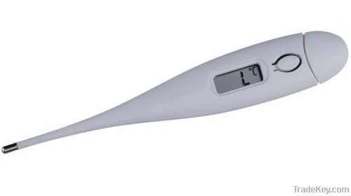 Digital Thermometer