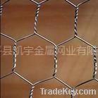 hexagonal wire mesh