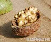 Walnut Kernels | Dried Fruits | Walnut Suppliers | Walnut Exporters | Walnut Manufacturers | Cheap Walnut | Wholesale Walnut | Discounted Walnut | Bulk Walnut | Walnut Buyer | Import Walnut | 