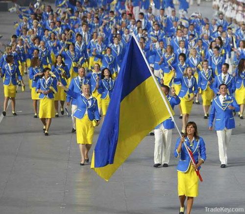 sport hand flags