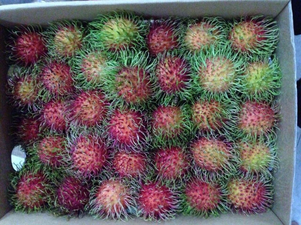 rambutan