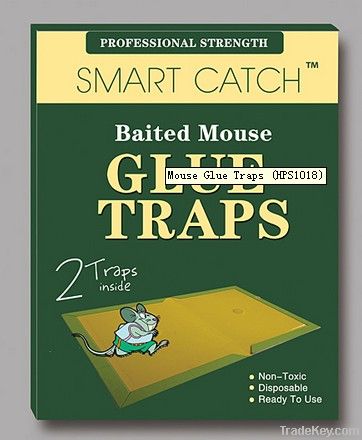 Mouse Glue Traps