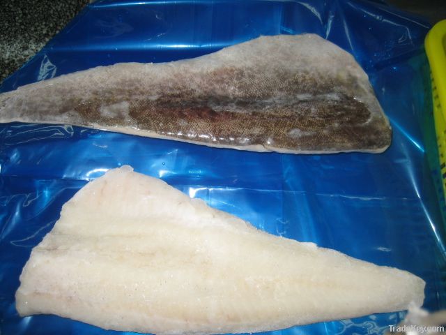 Pacific Cod Fillet