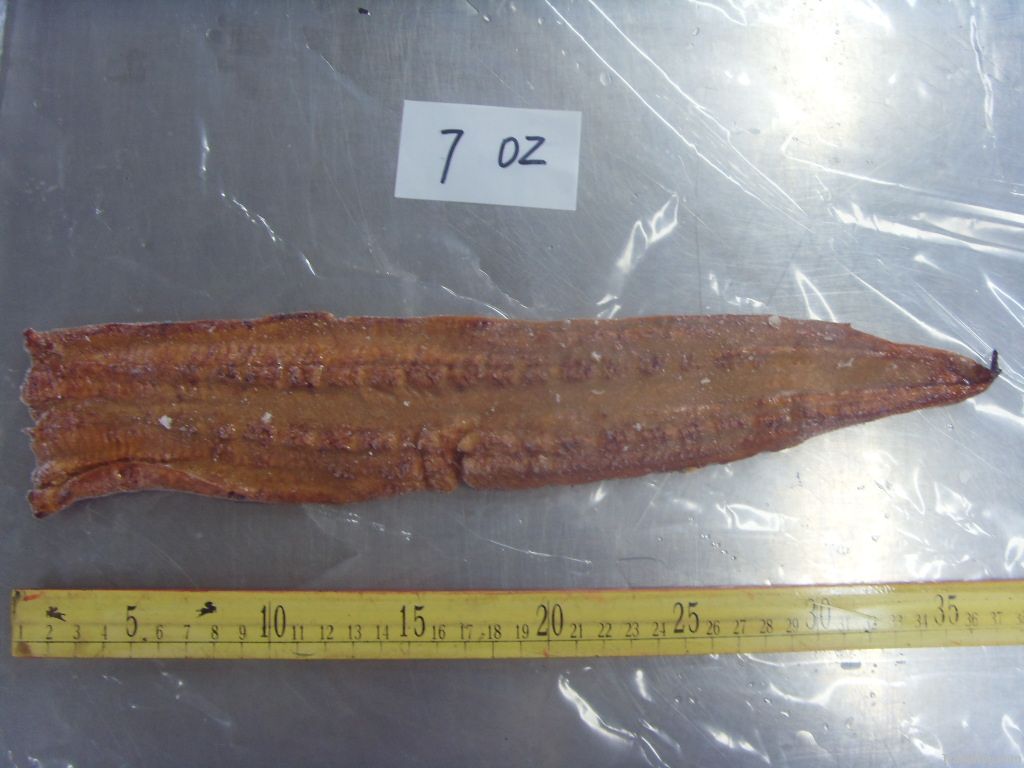 Roasted Anago Kabayaki