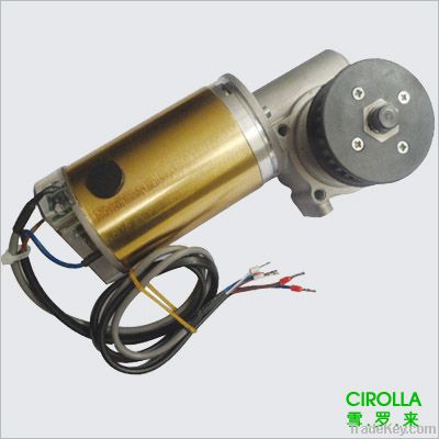 Auto door motor