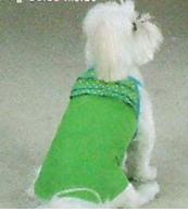 offer small dog clothes