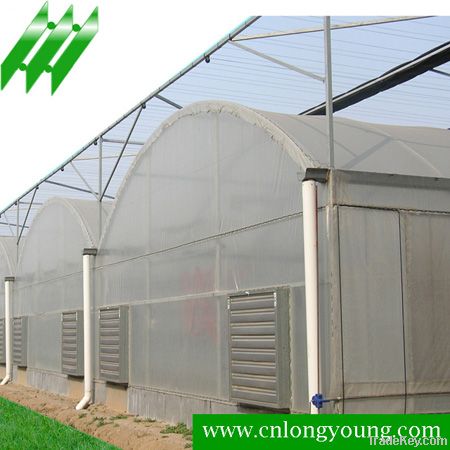 Multi-Span Plastic Greenhouse