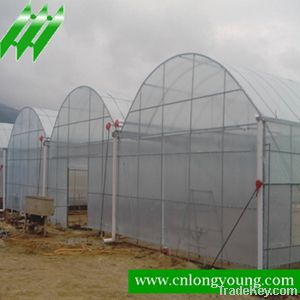 Multi-span greenhouse