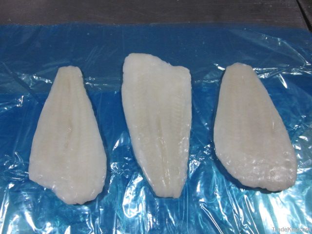 Arrow Tooth Flouder (Atheresthes Stomias)