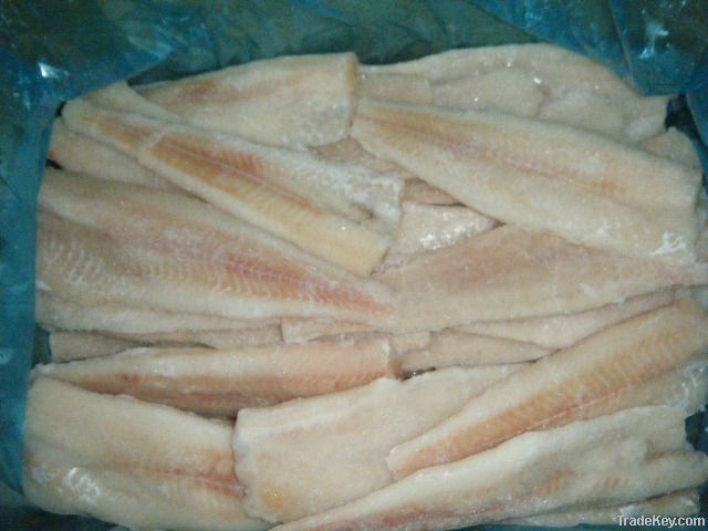 Frozen Alaska Pollock Fillets (Theragra Chalcogramma)