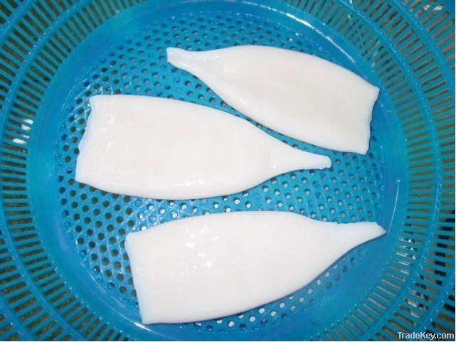 Frozen Squid Tubes