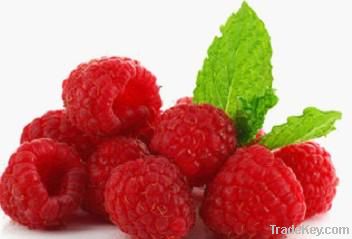 Raspberry Ketone