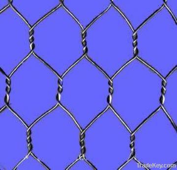 PVC hexagonal wire netting/chicken mesh