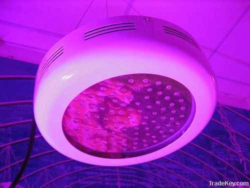 led grow light