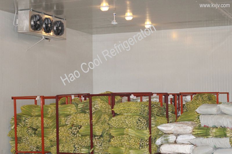 3500MT Fresh Cold Room