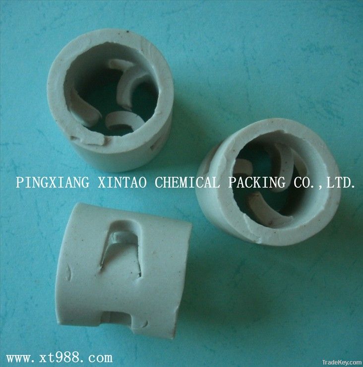 Ceramic pall ring