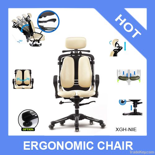 Ergonomic Chair