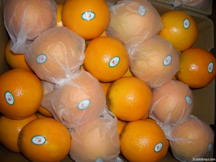 Navel Orange