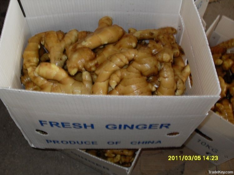 Fresh Ginger