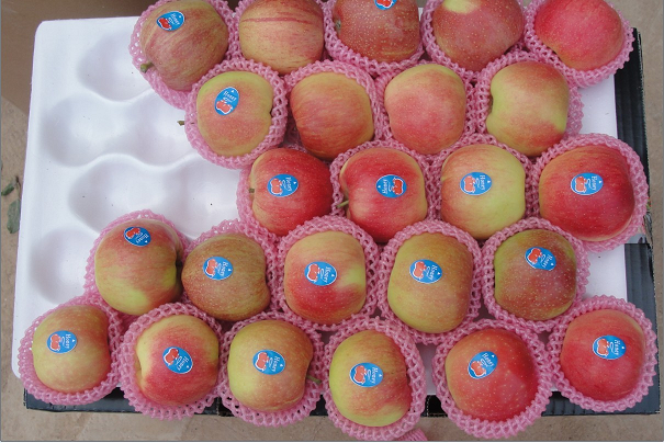 Gala apples