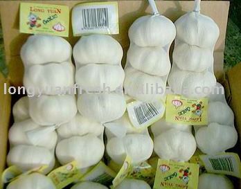 white garlic