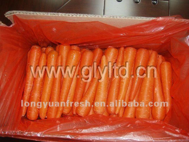 Fresh carrot for sale