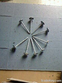 umbrella head roofing nails