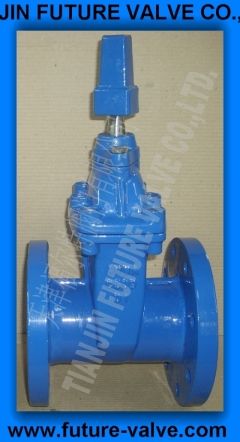 AWWA C509 200PSI Resilient Seated Gate Valve