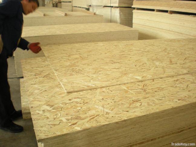 Oriented Stand Board (OSB)