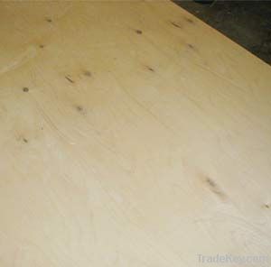 Birch veneer