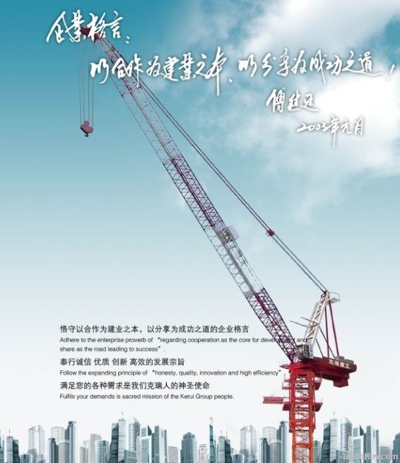 Luffing Tower Crane D 300