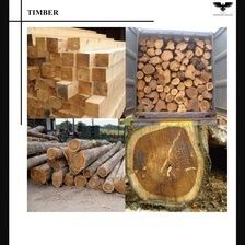 Timber