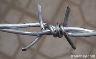 Barbed Wire