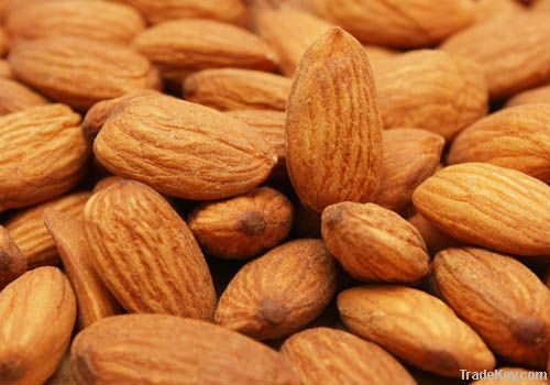 Almond Supplier | Almond Exporter | Almond Manufacturer | Almond Trader | Almond Buyer | Almond Importers | Import Almond | Buy Almond | Wholesale Almond | Low Price Almond | Low Cost Almond   Spanish Shelled Almond   1) Marcona - Queen of almonds 2) Larg