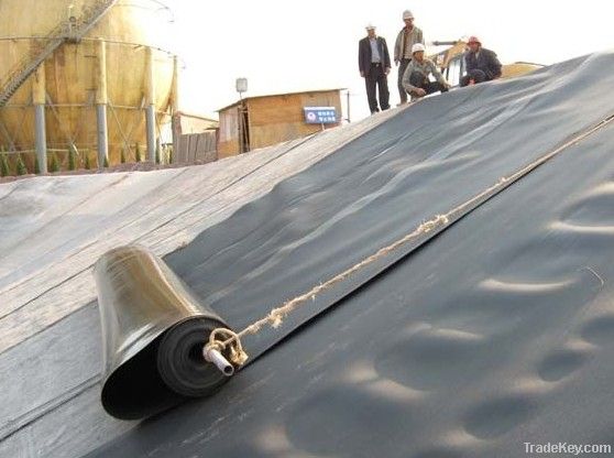 HDPE Geomembrane