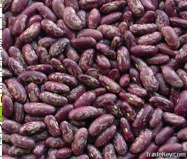 Purple Speckled Kidney Beans